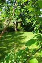 Garten - 8 Zimmer Einfamilienhaus in Markt Schwaben