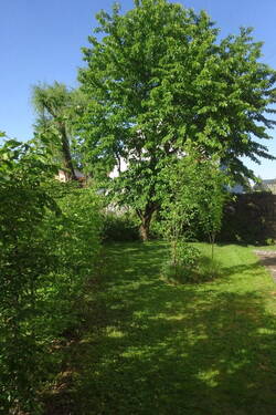 Treppenhaus_EG - Einfamilienhaus mit 146,00 m&sup2; in Markt Schwaben zum Kaufen