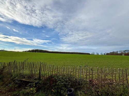 Blick über das angrenzende Feld - 