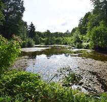 Rausdorf - 3 Fischteiche auf großem Freizeitgrundstück mit Holzhaus in naturnaher, ruhiger Lage