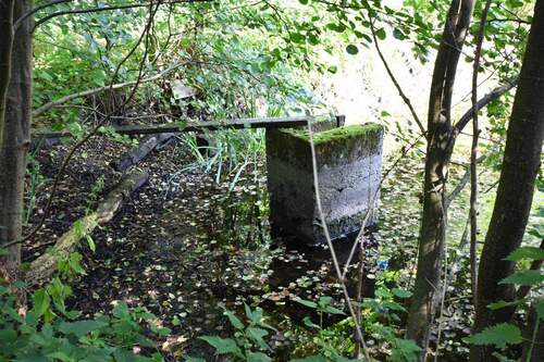 Teich rechts Ablauf.jpg - Grundstück zum Kaufen in Rausdorf