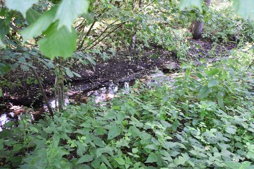 Kleiner Bachlauf Grundstücksgrenze.jpg - Grundstück in Rausdorf