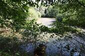 Teich mittig.jpg - 