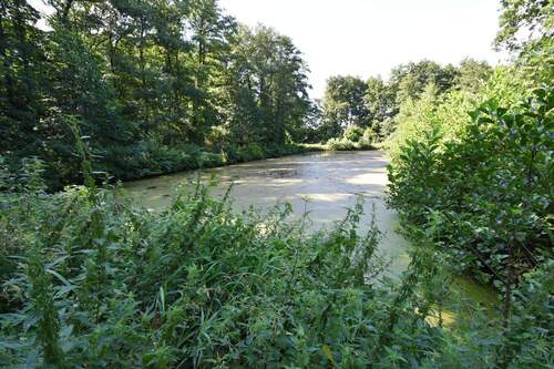Teich links.jpg - 