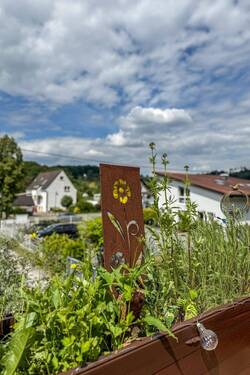 Impression - 