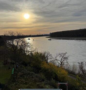 Rheinblick DG rheinaufwärts - 