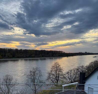 Rheinblick DG rheinabwärts - 