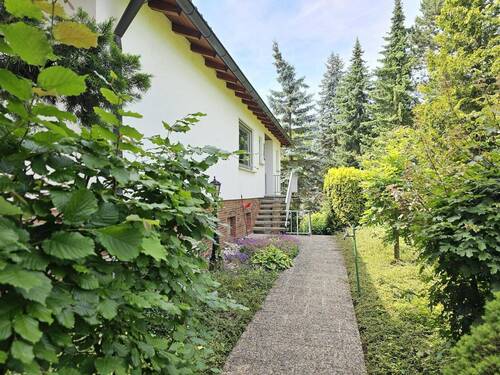 Eingewachsener Weg zum Eingang - 