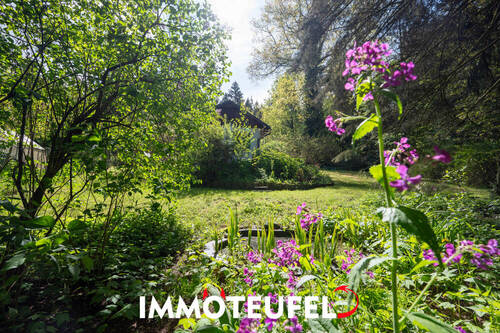 Bild 11 - 