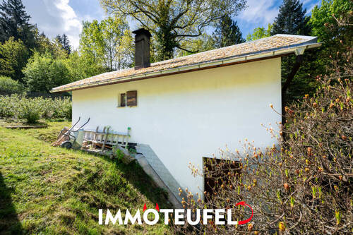 Zugang zum Keller - 