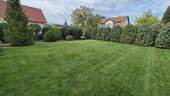 Garteneinblick - 