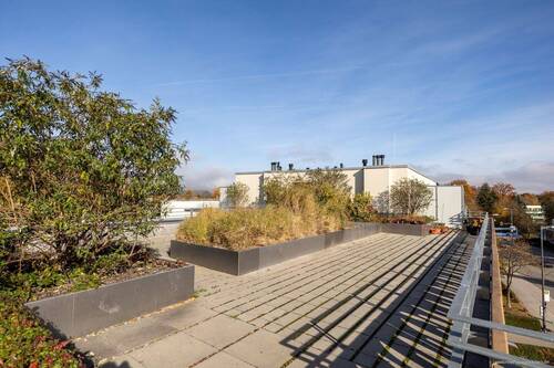 Sonnige Gemeinschaftsdachterrasse - 