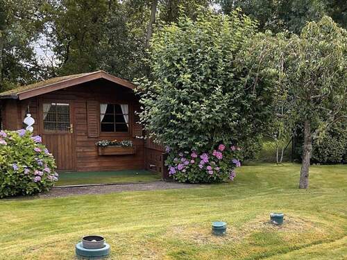 Gartenansicht im Sommer - 