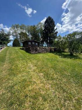 19 Blick zum Waldrand - 