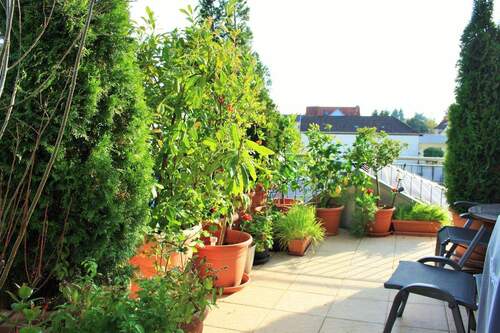 D9759F70-7A27-3C14-BE26-EFBBBBC5473E - 2 Zimmer Etagenwohnung in Rheinzabern