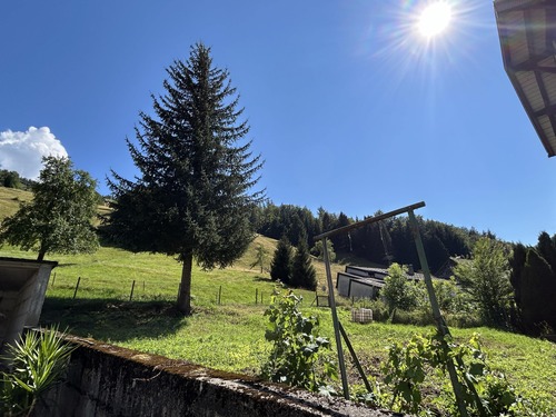 Umgebung - 5 Zimmer Etagenwohnung zum Kaufen in Todtnau