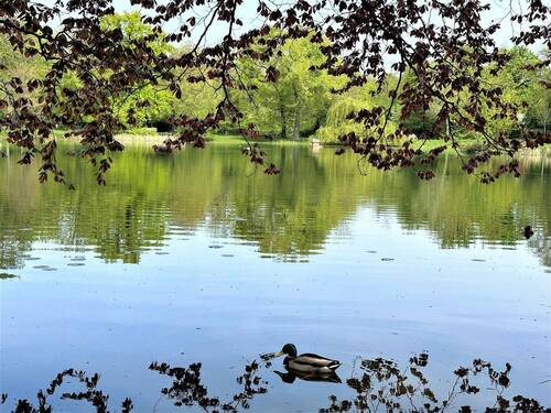 10 Minuten Gehweg zum Arthur-Bretschneider-Park - 