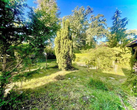 Bild 1 - Provisionsfrei: Schönes Grundstück nahe an Wald und Seen