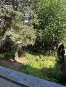 Ausblick vom Balkon aus - Charmante 2-Zimmer-Wohnung mit Balkon und Blick ins Grüne in D-Rath!
