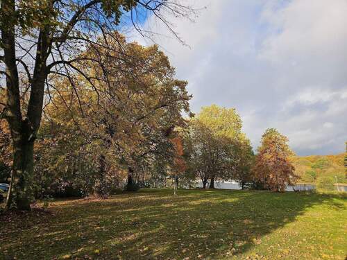 20251030_144711.jpg - 