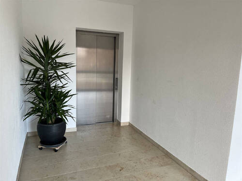 Bild7 - 
