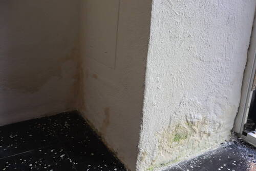 EG bei der Haustür - 