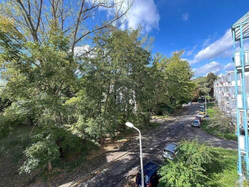 Ausblick vom Balkon - 3 Zimmer Etagenwohnung zur Miete in Zwickau