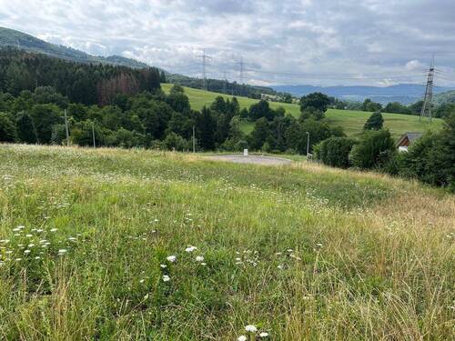 IMG-20250715-WA0012-1.jpg - Mehrfamilienhaus, Wohnhaus mit 130,00 m&sup2; in Wehr zum Kaufen