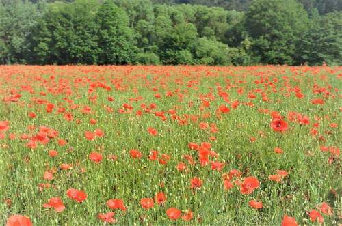 Rügen: auch im Inneren schön - 
