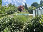 Blick in den Garten - 