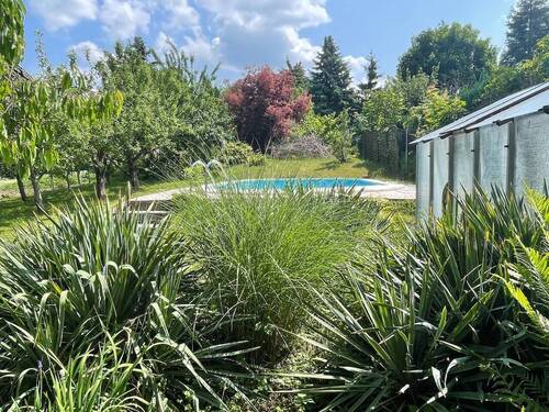 Blick in den Garten - 