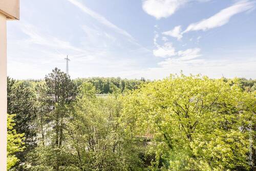 Blick von der Loggia - 