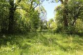 Isarauen - 