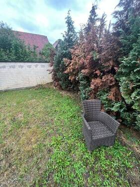 6 Hof - 6 Zimmer Mehrfamilienhaus, Wohnhaus zum Kaufen in Karlsdorf-Neuthard