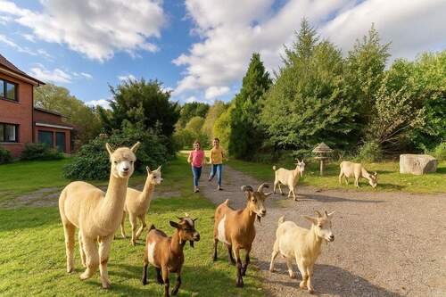 So könnte Ihr Hof belebt werden (KI unterstützt) - Mehrfamilienhaus, Wohnhaus mit 250,00 m² in Mittelstenahe zum Kaufen