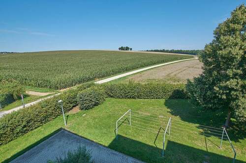 Aussicht Wohn- Esszimmer - 
