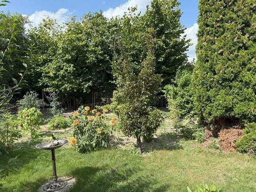 grüne Oase - Doppelhaushälfte mit 120,00 m² in Seelow zum Kaufen