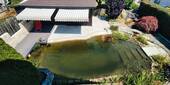 Schwimmteich oben.jpg - 