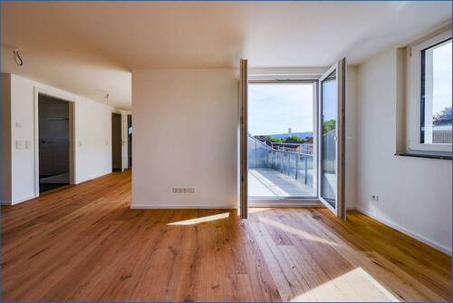 Zimmer - 