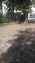 IMG-20210730-WA0012.jpeg - 