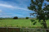 Ausblick Garten - 