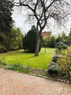 Blick in den Garten - 