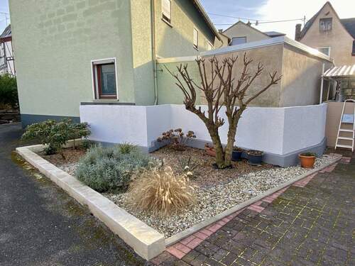 Pflegeleichter Garten - 