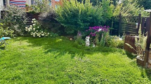 Blick in den Garten - 