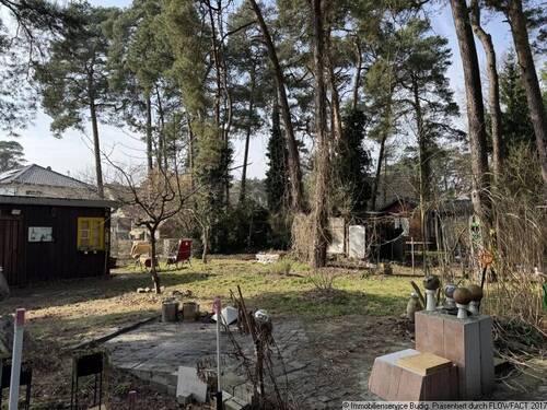 Grundstück mit Baumbestand - Grundstück zum Kaufen in Neuenhagen