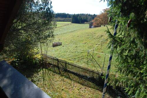 Ein Teil des Gartens - 