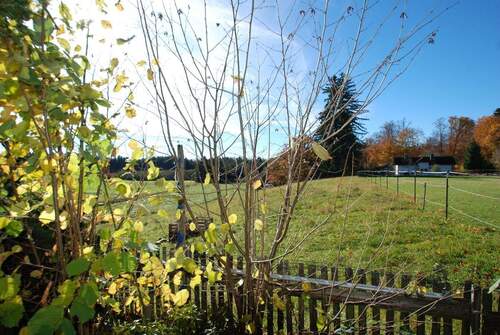 Freier Blick nach Süden - 