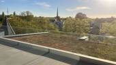 Traumhafte Aussicht - 