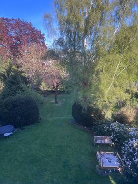 Blick in den Garten - 