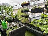 Balkon - Etagenwohnung mit 75,70 m&sup2; in Nürnberg zum Kaufen